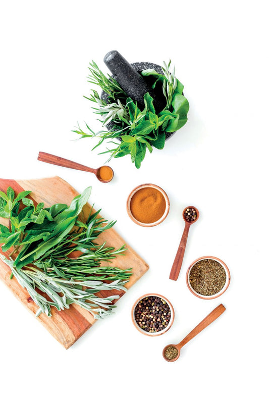 Ứng dụng liệu pháp chữa lành bằng thảo dược để sống khỏe mạnh và hạnh phúc hơn