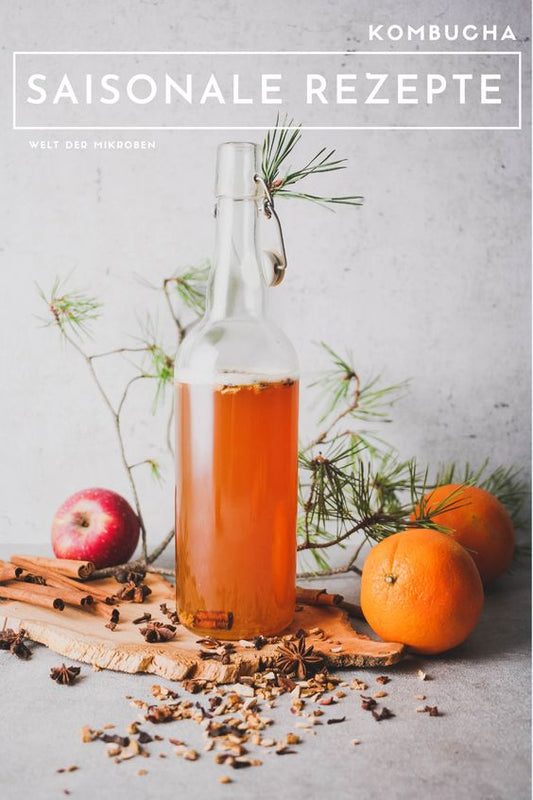 KOMBUCHA – XU HƯỚNG ĐỒ UỐNG VÌ SỨC KHỎE